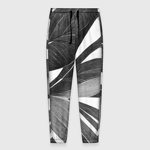 Мужские брюки Чёрно-белый тропический вайб / 3D-принт – фото 1