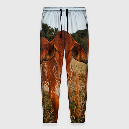 Мужские брюки Коровка на поле / 3D-принт – фото 1