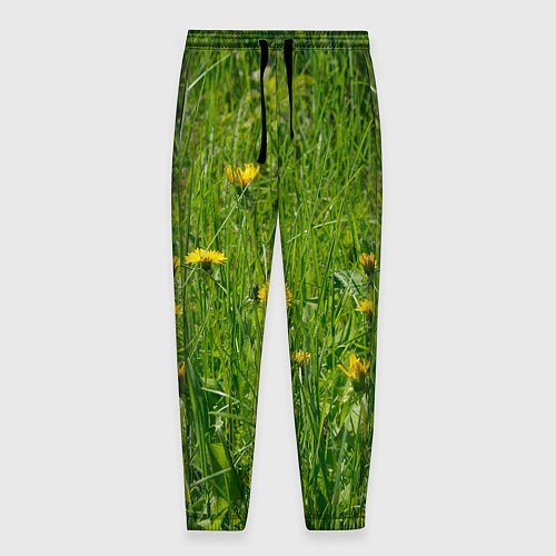 Мужские брюки Солнечные одуванчики / 3D-принт – фото 1