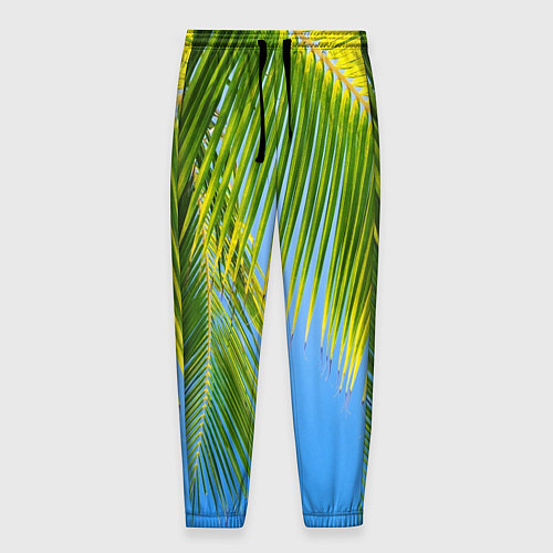 Мужские брюки Пальма у неба / 3D-принт – фото 1