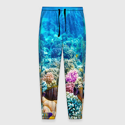 Мужские брюки Дно морское / 3D-принт – фото 1