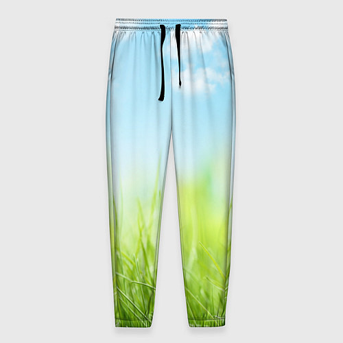 Мужские брюки Зелень и небо / 3D-принт – фото 1