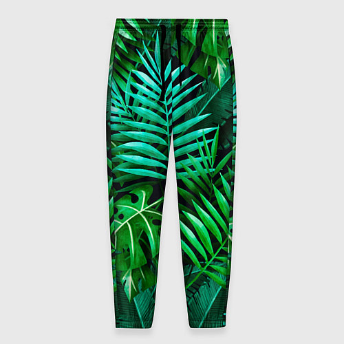 Мужские брюки Тропические растения - текстура / 3D-принт – фото 1