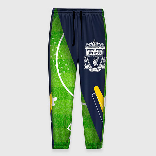 Мужские брюки Liverpool football field / 3D-принт – фото 1