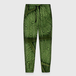 Мужские брюки Текстура зелёной листы