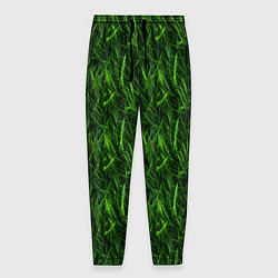 Мужские брюки Сочный узор из зеленой травки