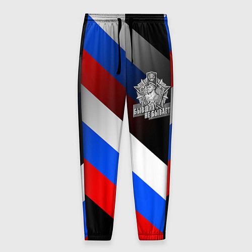 Мужские брюки Пограничные войска - флаг РФ / 3D-принт – фото 1