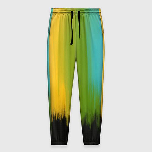 Мужские брюки Летняя радуга / 3D-принт – фото 1
