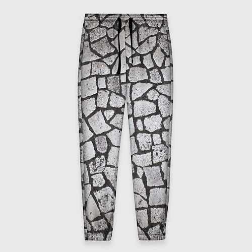 Мужские брюки Каменный серый паттерн / 3D-принт – фото 1