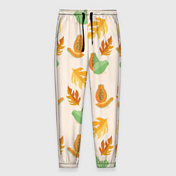 Мужские брюки Осенняя папайя