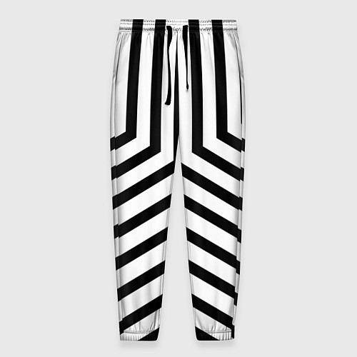 Мужские брюки Черно-белые полосы в узоре / 3D-принт – фото 1