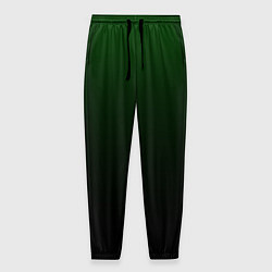 Мужские брюки Градиент чёрно-зеленый