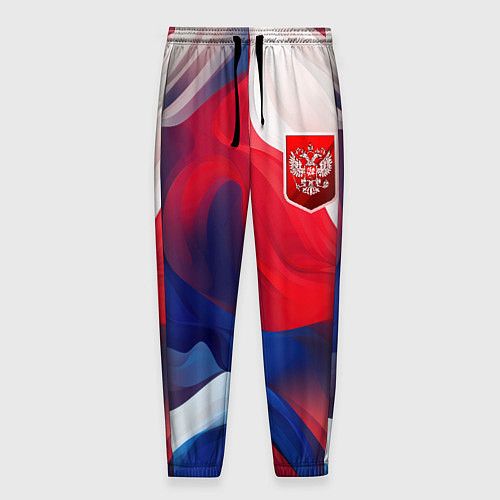 Мужские брюки Красный герб России / 3D-принт – фото 1