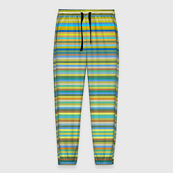 Мужские брюки Горизонтальные разноцветные полосы