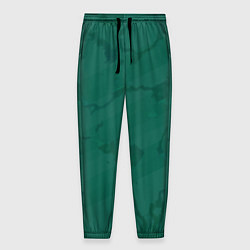 Мужские брюки Серо-зеленые разводы