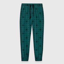 Мужские брюки Зелёный квадраты паттерн