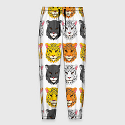 Мужские брюки Дикие цветные кошки