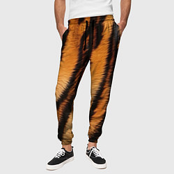 Брюки на резинке мужские Тигровая шкура, цвет: 3D-принт — фото 2