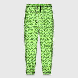Мужские брюки Светло-зелёный мозаика