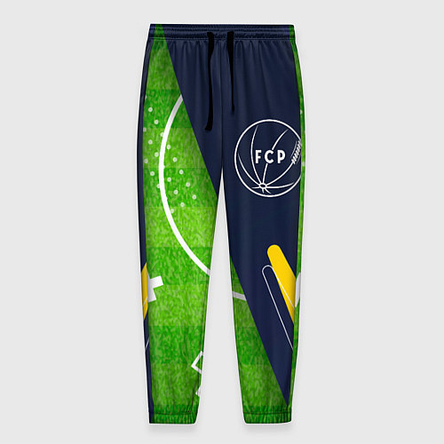 Мужские брюки Porto football field / 3D-принт – фото 1