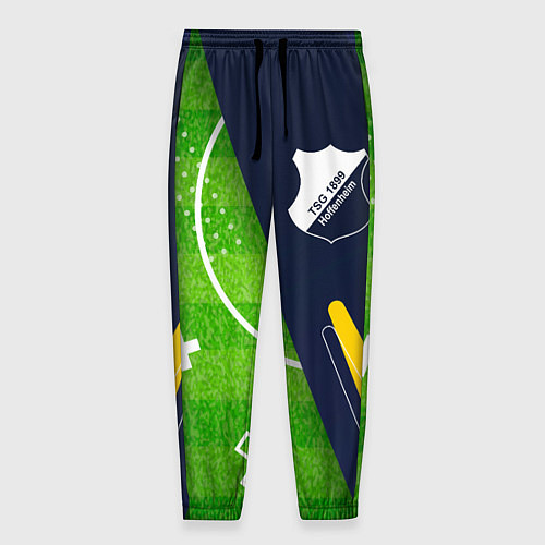Мужские брюки Hoffenheim football field / 3D-принт – фото 1