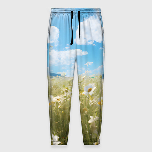 Мужские брюки Ромашковое поле / 3D-принт – фото 1
