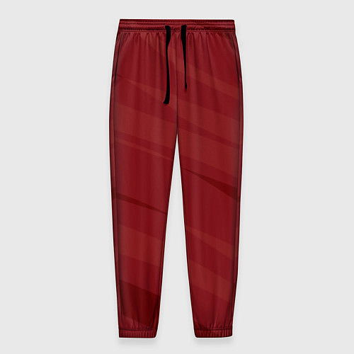 Мужские брюки Бордовый полосами / 3D-принт – фото 1