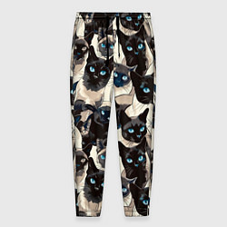 Мужские брюки Сиамские кошки