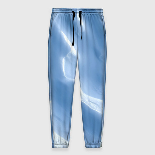 Мужские брюки Снежный покров / 3D-принт – фото 1