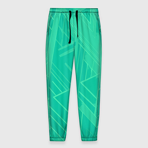Мужские брюки Мятный зелёный однотонный геометричный / 3D-принт – фото 1