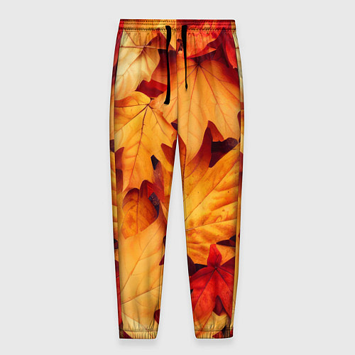 Мужские брюки Осенние кленовые листья / 3D-принт – фото 1