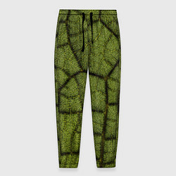 Брюки на резинке мужские Микромир, цвет: 3D-принт