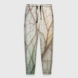 Мужские брюки Прожилки листика