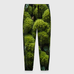 Брюки на резинке мужские Зеленый мох и листья, цвет: 3D-принт
