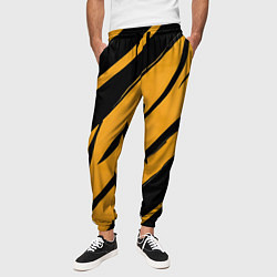 Брюки на резинке мужские Тигровый раскрас, цвет: 3D-принт — фото 2
