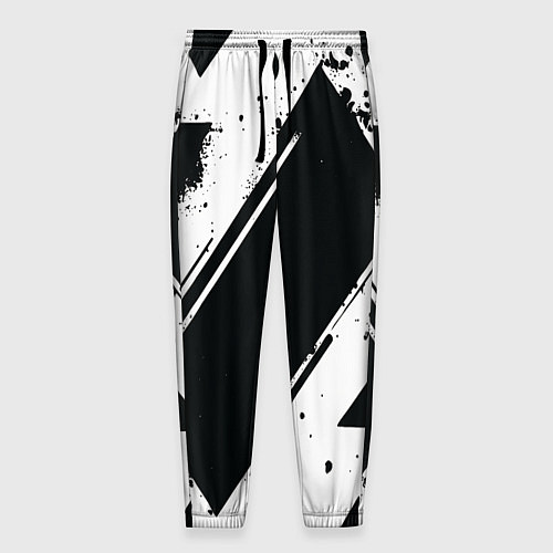 Мужские брюки Color black white / 3D-принт – фото 1