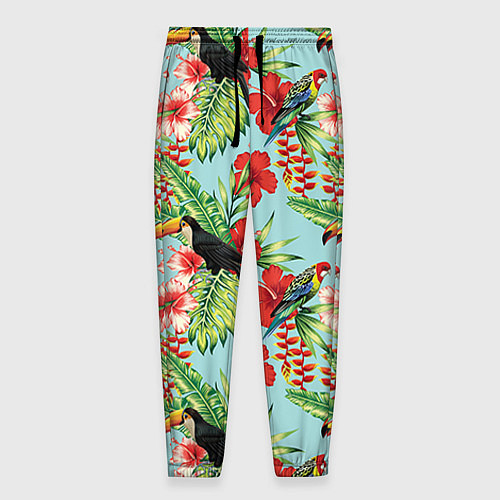 Мужские брюки Туканы в тропиках / 3D-принт – фото 1