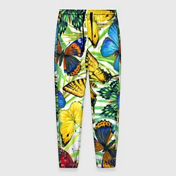 Брюки на резинке мужские Тропические бабочки, цвет: 3D-принт