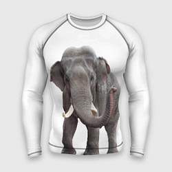 Рашгард мужской Большой слон, цвет: 3D-принт