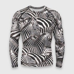 Рашгард мужской Стая зебр, цвет: 3D-принт