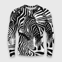 Рашгард мужской Полосатая зебра, цвет: 3D-принт