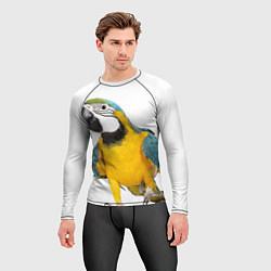 Рашгард мужской Попугай ара, цвет: 3D-принт — фото 2