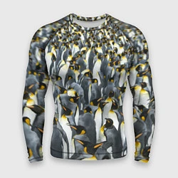 Рашгард мужской Пингвины Penguins, цвет: 3D-принт