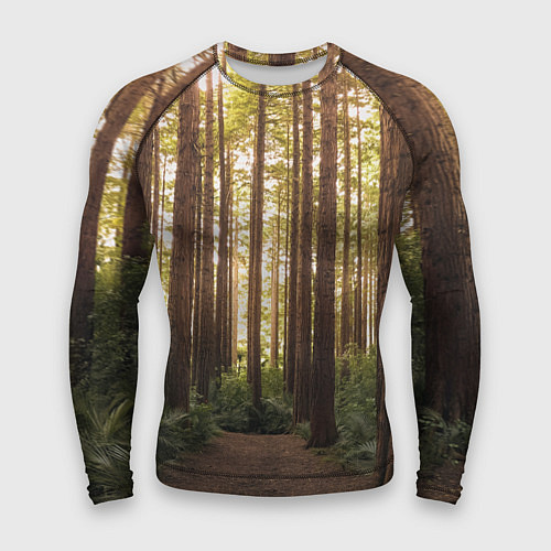 Мужской рашгард Дневной лес, деревья и свет / 3D-принт – фото 1