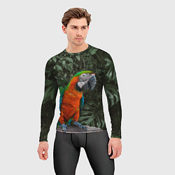Рашгард мужской Попугай Макао, цвет: 3D-принт — фото 2