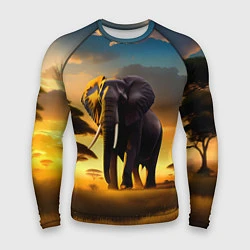 Рашгард мужской Слон и рассвет в саванне, цвет: 3D-принт