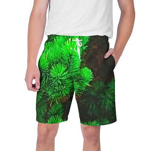 Мужские шорты Зелёная ель / 3D-принт – фото 1
