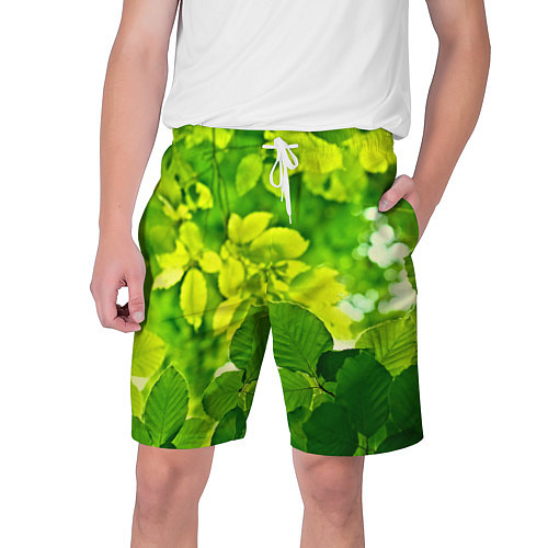 Мужские шорты Зелёные листья / 3D-принт – фото 1