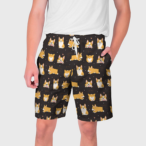 Мужские шорты Вельш корги бемброк - забавные щенки паттерн / 3D-принт – фото 1