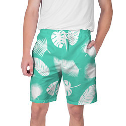Мужские шорты Tropics
